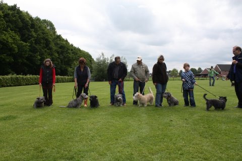 Jonge Honden